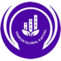 YEMKON GLOBAL KAPITAL & INVESTMENT SERVICES LTD logo - Similar company to Merger & Acquisition | Global Investment Services Consulting For 20+ Yrs