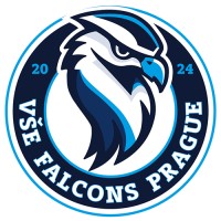 VŠE Falcons Prague logo - Similar company to Lean Six Sigma, S.R.O.