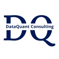 DataQuant Consulting logo - Similar company to Platy.Studio