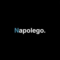 Napolego logo - Similar company to Proequip