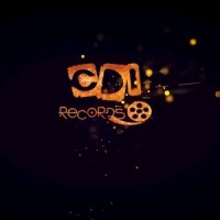 CDI RECORDS S.A. logo - Similar company to P&P Holdings