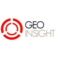 Geoinsight Data Intelligence and Consultancy Ltd.Şti. logo - Similar company to Frekans Acoustics Lab / Acoustical Consultancy