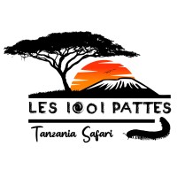 LES 1001 PATTES TANZANIA SAFARI COMPANY logo - Similar company to Wow!