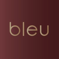 bleu logo - Similar company to Hcg Engineering