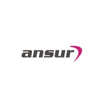 Ansur logo - Similar company to Drape Craft Llp