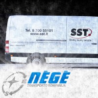 SST - Skubių siuntų tarnyba | UAB Nėgė logo - Similar company to Nin Institute