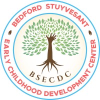 BEDFORD STUYVESANT EARLY CHILDHOOD DEVELOPMENT CENTER INC logo - Similar company to Neat & Orderly