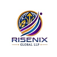 Risenix Global LLP logo - Similar company to D Remote Experts