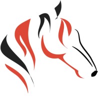 Digital Polo, Inc. logo - Similar company to Andeborn Communication