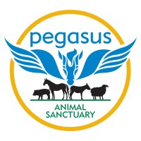 Pegasus Animal Sanctuary logo - Similar company to Emptylegs Llc