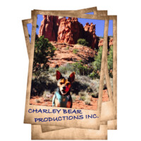 Charley Bear Productions Inc. logo - Similar company to The Glowmedia Project