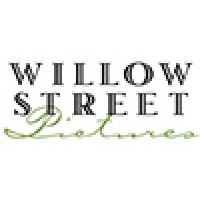 Willow Street Pictures logo - Similar company to Maintain Your Home