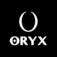 Oryx logo - Similar company to Ecv Video Securite