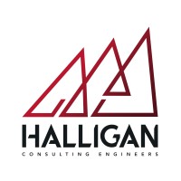 Halligan Consulting Engineers logo - Similar company to E3 Cube Ltd