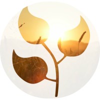 Abundant Life Brazilian Church logo - Similar company to Kaimuki Christian School