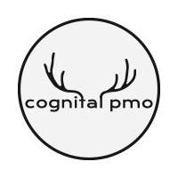 Cognital PMO logo - Similar company to Sapscope Consulting
