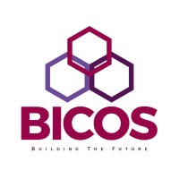 Blockchain Innovations Corporate Solutions logo - Similar company to Tech Solutions Group