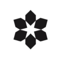 Snow Country Limousine logo - Similar company to Scriptagram™ - Braces Academy™ & Orthoscreening™
