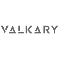 Valkary Corp logo - Similar company to Helm Point Solutions