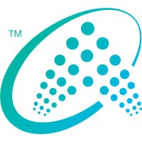 Arabian Networks Support Co. logo - Similar company to Wireless Solution Co