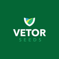 Vetor Seeds Consultoria logo - Similar company to Vm Agro