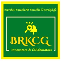 BRKCG -* Digital Technologies* & IFM Consulting Managers.!! logo - Similar company to Ganesh Stones