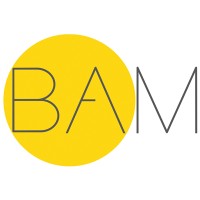 BAM Office Manager logo - Similar company to Unpatient