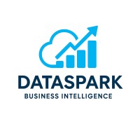 Dataspark logo - Similar company to Humain Demand