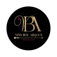 Vins Bouargoub logo - Similar company to Elevate Life Training & Coaching