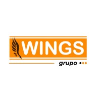 Grupo Wings logo - Similar company to Wings Consulting