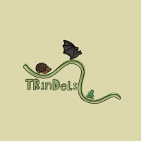 TRinDels logo - Similar company to Hahne Academy