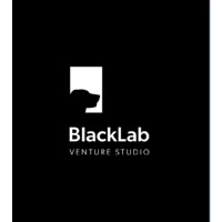 BlackLab Venture Studio logo - Similar company to Rivada Networks