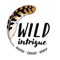 Wild Intrigue logo - Similar company to Helping Kids Shine