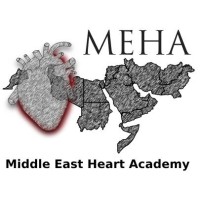 Middle East Heart Academy logo - Similar company to Ishlt - International Society For Heart And Lung Transplantation