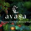 Avasa logo - Similar company to Sonic Solutions Ltd