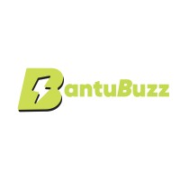 BantuBuzz logo - Similar company to Bakoena Technologies