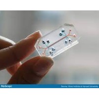 Organ-on-Chip logo - Similar company to Microfluidic Valley