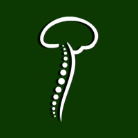 Cerebro Neuro Rehabilitation logo - Similar company to Perfect Bounce