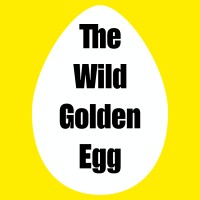 TheWildGoldenEgg logo - Similar company to Democharts