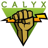 The Calyx Institute logo - Similar company to Spicy Rocket