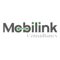 Mobilink Consultancy logo - Similar company to Holinest