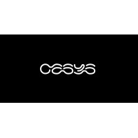 Oasys logo - Similar company to Drn:X