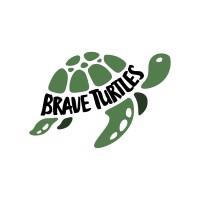 BraveTurtles Inc. logo - Similar company to Dynamic Assets
