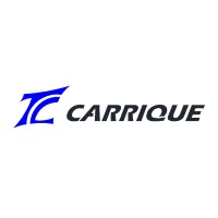 TALLERES CARRIQUE SA logo - Similar company to Fermsa, Sa