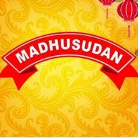 Madhusudan logo - Similar company to Kottosoft