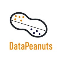 DataPeanuts logo - Similar company to Re2N Srl
