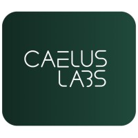 caelus labs logo - Similar company to Subfocus.Ai