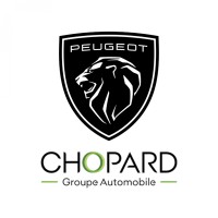 SURE automobiles logo - Similar company to Manu18