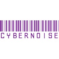 Cyber Noise logo - Similar company to Soimplement