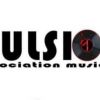Association PULSION Musique logo - Similar company to Evosafe